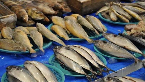 新一轮涨价潮来袭 从油价到餐桌，水产品价格牵动民生