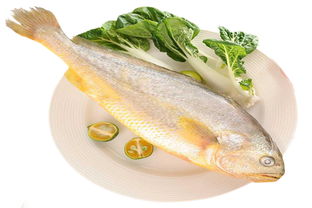 从池塘到餐桌 构建全过程可追溯的水产品管理体系