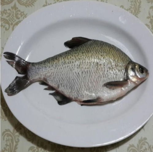 市场监管总局通报 两种水产品抽检不合格，提醒消费者注意购买安全